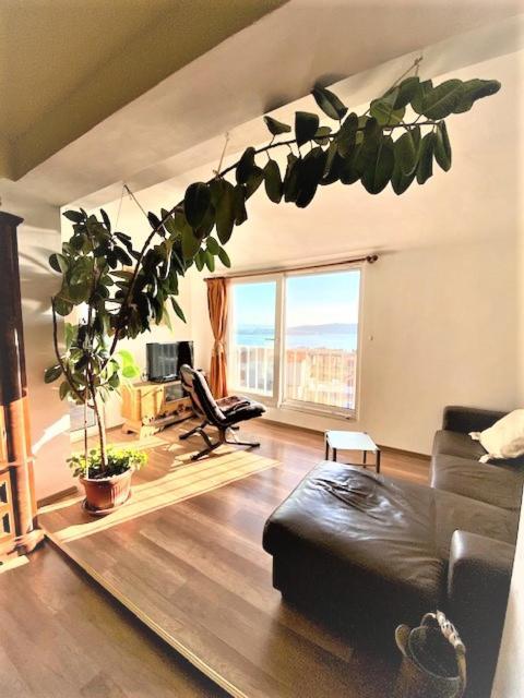 Amarante Apartments Kastela Bagian luar foto